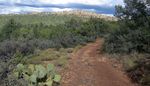 photo thumbnail #5