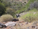 photo thumbnail #8