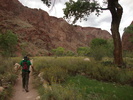photo thumbnail #7