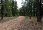 photo thumbnail #1