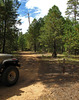photo thumbnail #1
