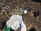photo thumbnail #7