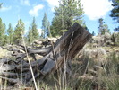 photo thumbnail #4