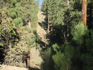 photo thumbnail #12