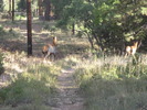 photo thumbnail #14