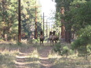 photo thumbnail #15
