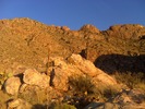 photo thumbnail #3