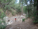photo thumbnail #9