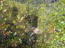 photo thumbnail #13