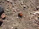 photo thumbnail #15