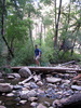 photo thumbnail #6