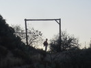photo thumbnail #1