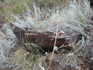 photo thumbnail #1