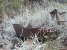 photo thumbnail #2