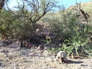photo thumbnail #7