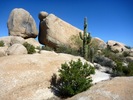 photo thumbnail #2