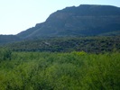 photo thumbnail #4