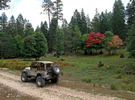 photo thumbnail #1