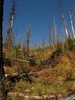 photo thumbnail #3