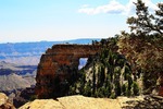 photo thumbnail #12