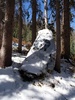 photo thumbnail #12