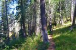 photo thumbnail #5