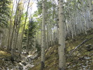 photo thumbnail #5