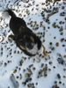 photo thumbnail #10