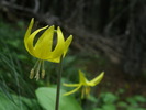 photo thumbnail #10
