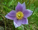 photo thumbnail #13