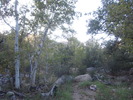 photo thumbnail #4