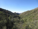 photo thumbnail #5