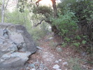 photo thumbnail #7