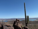 photo thumbnail #8