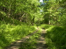 photo thumbnail #1