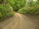 photo thumbnail #11