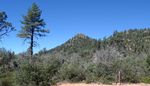 photo thumbnail #1