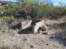 photo thumbnail #4