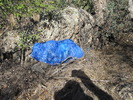 photo thumbnail #5