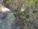 photo thumbnail #7