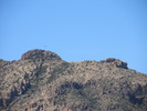 photo thumbnail #12