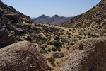 photo thumbnail #5