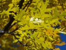photo thumbnail #12