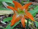 photo thumbnail #12