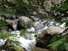 photo thumbnail #13