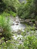 photo thumbnail #15