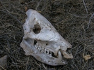 photo thumbnail #5