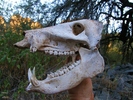 photo thumbnail #9