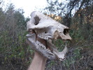 photo thumbnail #10