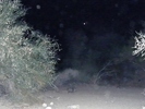 photo thumbnail #14